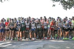 PhotoGallery-CorsadeiCastelli-2021_12